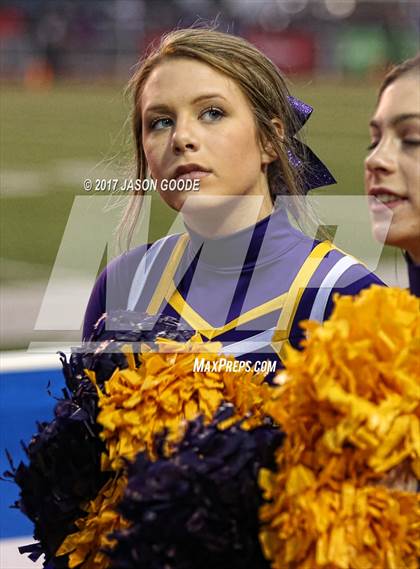 Thumbnail 2 in Alcoa vs. Covington (TSSAA Division I Class 3A Final)  photogallery.