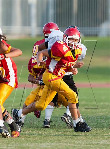 Thumbnail 1 in San Jacinto @ Palm Desert photogallery.