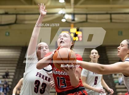 Thumbnail 2 in Hornell vs. Chenango Forks (NYSPHSAA Class B State Semi-Final) photogallery.