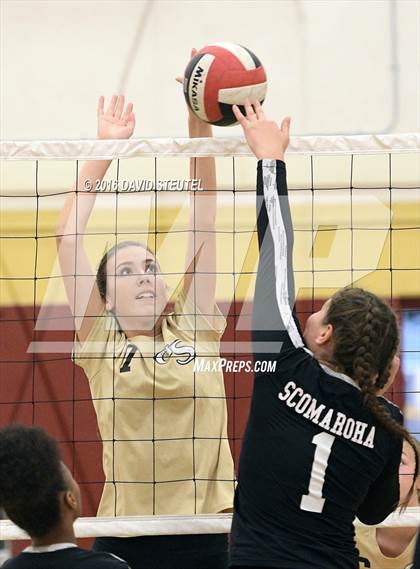 Thumbnail 3 in Golden Sierra @ Encina Prep photogallery.