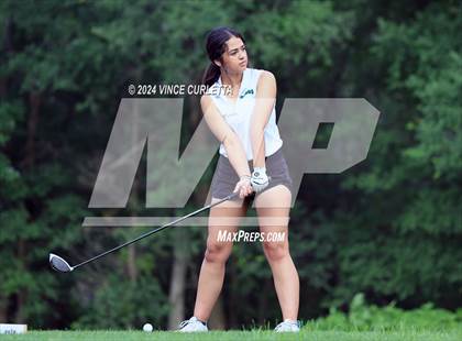 Thumbnail 1 in UIL 3A Girls Golf Finals photogallery.