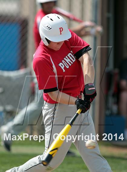Thumbnail 2 in Princeton vs Ponder photogallery.