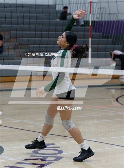 Thumbnail 1 in JV: Youngker @ North Canyon photogallery.