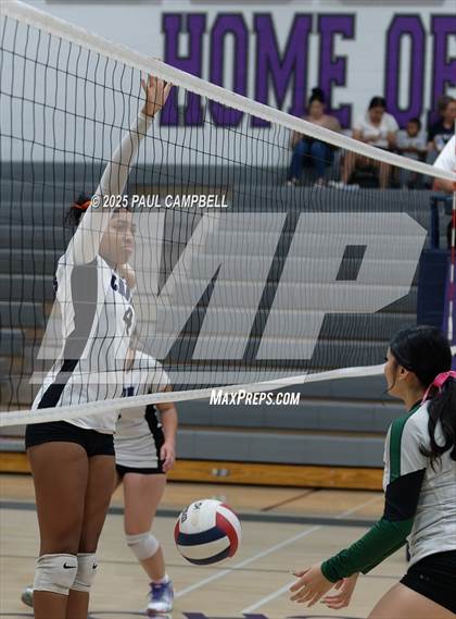 Thumbnail 1 in JV: Youngker @ North Canyon photogallery.