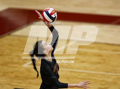 Thumbnail 2 in St. Pius X Catholic @ Lassiter photogallery.