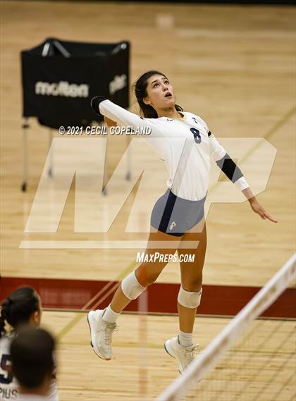 Thumbnail 3 in St. Pius X Catholic @ Lassiter photogallery.