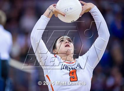 Thumbnail 1 in Lewis-Palmer vs. Windsor (CHSAA 4A Playoff) photogallery.