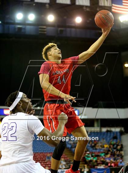 Thumbnail 1 in Sacramento vs Antelope (CIF SJS D2 Final) photogallery.