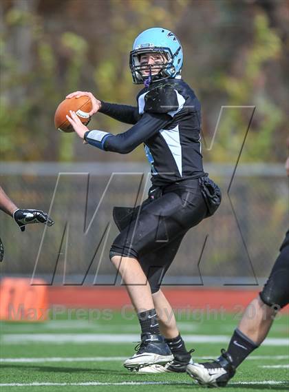 Thumbnail 2 in Wethersfield @ Fermi photogallery.
