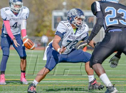 Thumbnail 3 in Wethersfield @ Fermi photogallery.