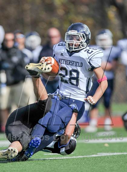 Thumbnail 2 in Wethersfield @ Fermi photogallery.