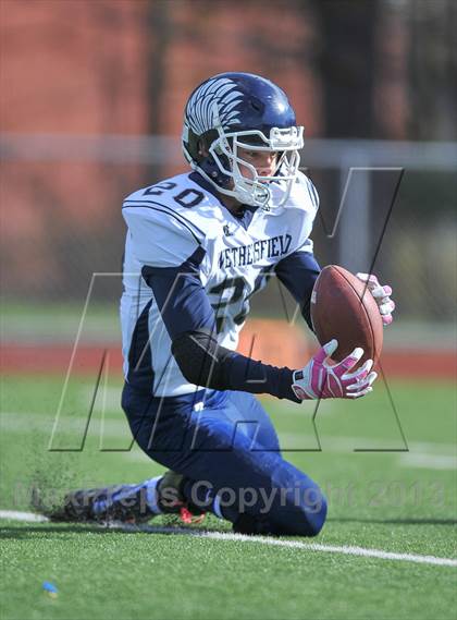 Thumbnail 3 in Wethersfield @ Fermi photogallery.