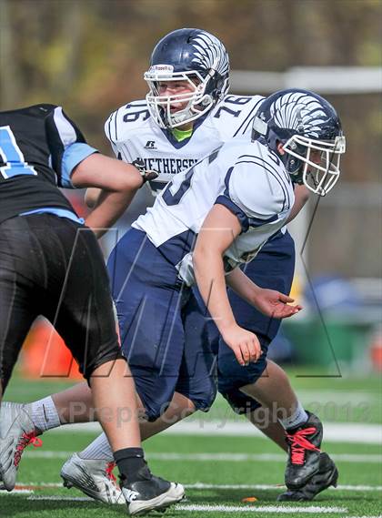 Thumbnail 1 in Wethersfield @ Fermi photogallery.