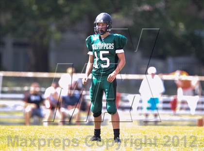 Thumbnail 1 in Wheaton-Warrenville South @ Glenbard West photogallery.