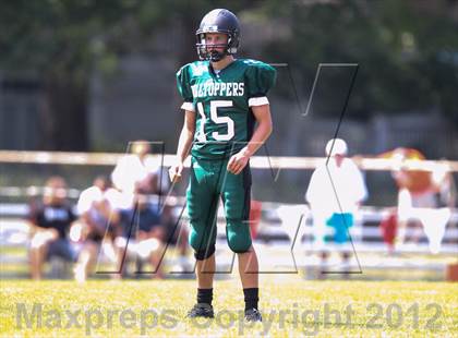 Thumbnail 2 in Wheaton-Warrenville South @ Glenbard West photogallery.
