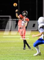 Photo from the gallery "Palo Verde @ Florence"