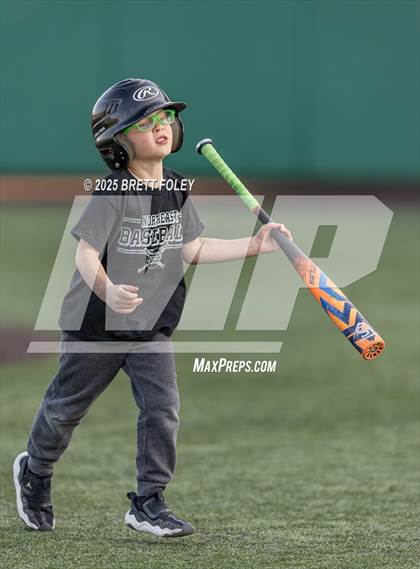 Thumbnail 2 in Lincoln North Star @ Lincoln Northeast photogallery.