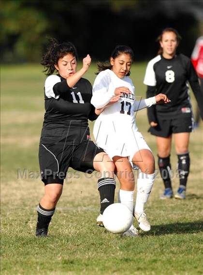 Thumbnail 1 in Kennedy vs. Palmdale photogallery.
