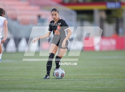 Thumbnail 1 in Juan Diego Catholic vs. Ogden (UHSAA 3A Semifinal) photogallery.