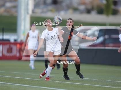 Thumbnail 1 in Juan Diego Catholic vs. Ogden (UHSAA 3A Semifinal) photogallery.