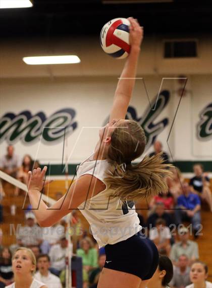 Thumbnail 3 in Anderson @ McNeil photogallery.
