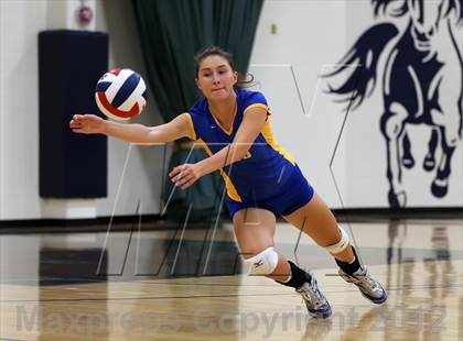 Thumbnail 3 in Anderson @ McNeil photogallery.