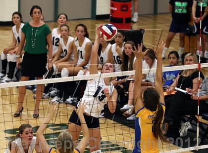 Thumbnail 1 in Anderson @ McNeil photogallery.