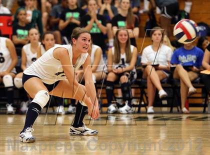 Thumbnail 1 in Anderson @ McNeil photogallery.