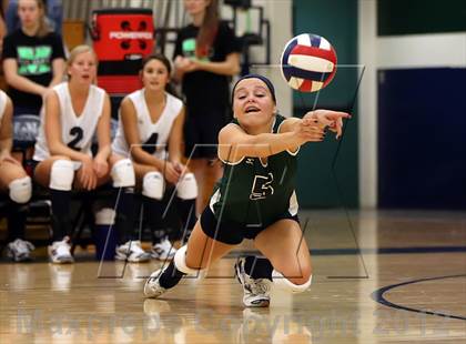 Thumbnail 2 in Anderson @ McNeil photogallery.