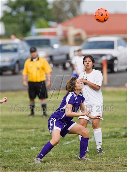 Thumbnail 3 in Johansen @ Beyer photogallery.