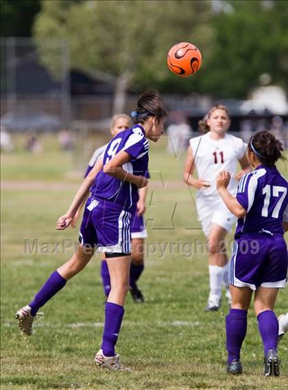 Thumbnail 1 in Johansen @ Beyer photogallery.