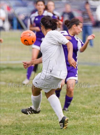 Thumbnail 2 in Johansen @ Beyer photogallery.