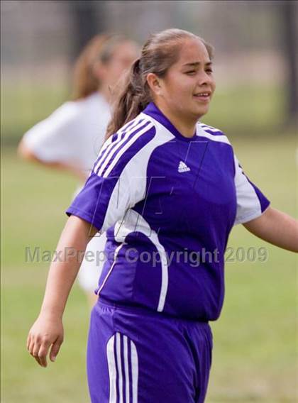 Thumbnail 3 in Johansen @ Beyer photogallery.