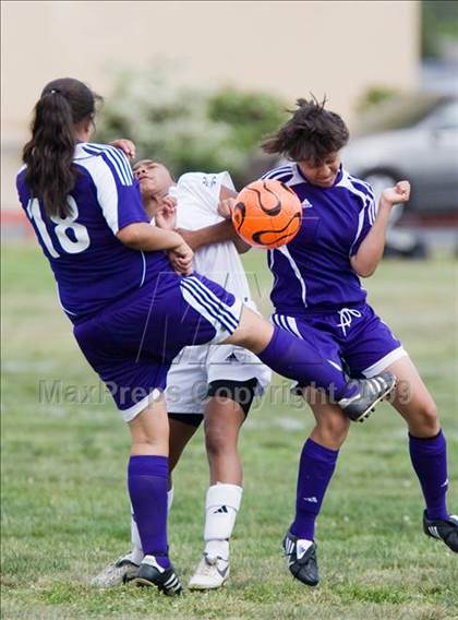 Thumbnail 1 in Johansen @ Beyer photogallery.