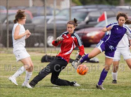 Thumbnail 2 in Johansen @ Beyer photogallery.