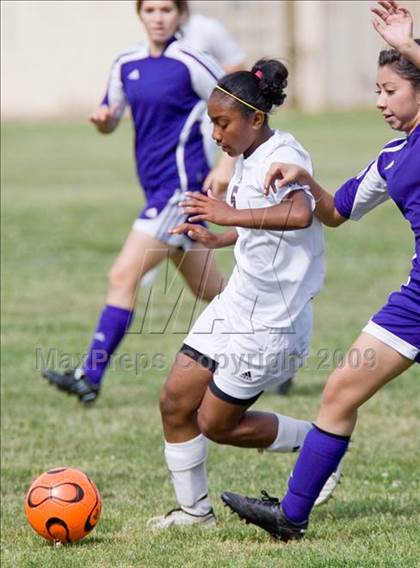 Thumbnail 1 in Johansen @ Beyer photogallery.