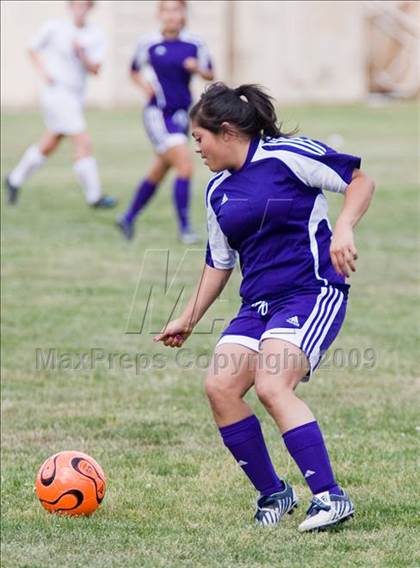 Thumbnail 3 in Johansen @ Beyer photogallery.