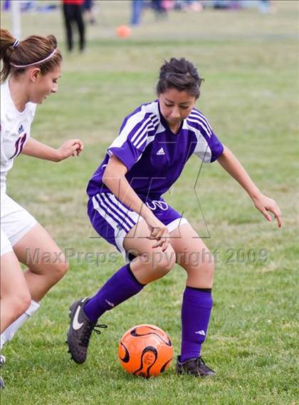 Thumbnail 1 in Johansen @ Beyer photogallery.