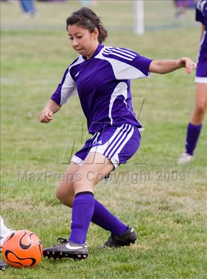Thumbnail 3 in Johansen @ Beyer photogallery.