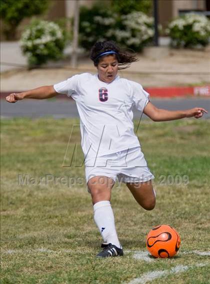 Thumbnail 2 in Johansen @ Beyer photogallery.