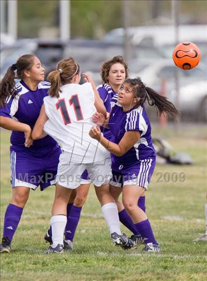 Thumbnail 2 in Johansen @ Beyer photogallery.
