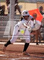 Photo from the gallery "Chandler @ Basha"