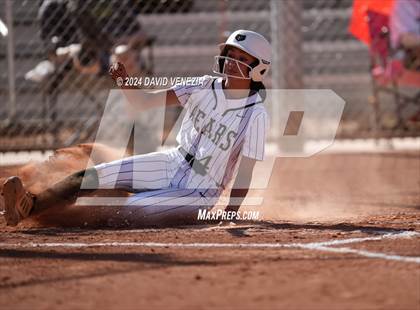 Thumbnail 2 in Chandler @ Basha photogallery.