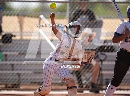 Thumbnail 3 in Chandler @ Basha photogallery.