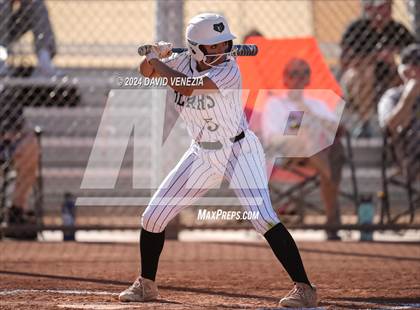 Thumbnail 3 in Chandler @ Basha photogallery.