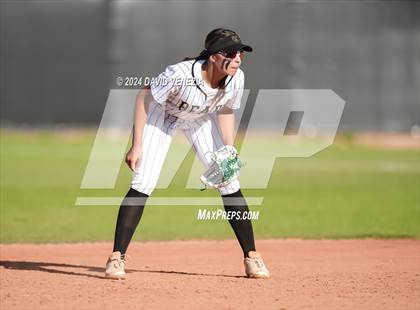 Thumbnail 3 in Chandler @ Basha photogallery.