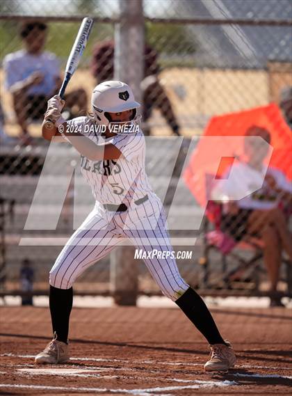 Thumbnail 3 in Chandler @ Basha photogallery.