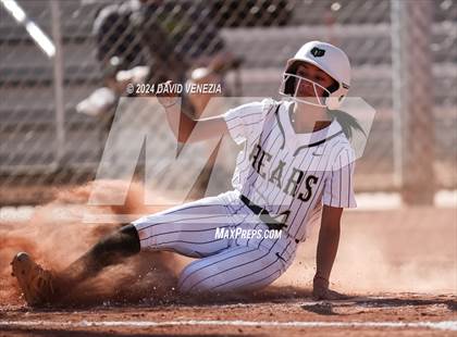 Thumbnail 3 in Chandler @ Basha photogallery.