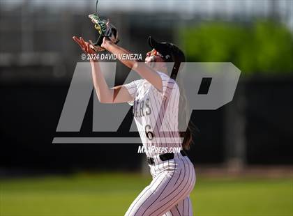 Thumbnail 3 in Chandler @ Basha photogallery.