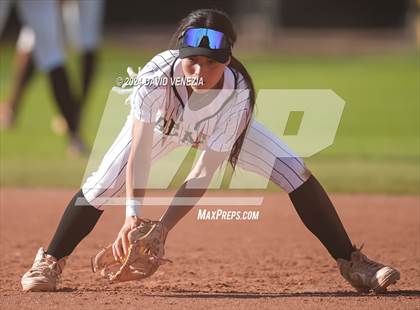 Thumbnail 3 in Chandler @ Basha photogallery.